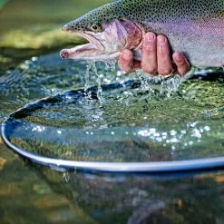 Promotion - Frabill Floating Trout Net -Deals Fishusa Store unnamed file 10750