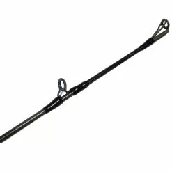 Promotion - Daiwa Tatula Swimbait Casting Rod