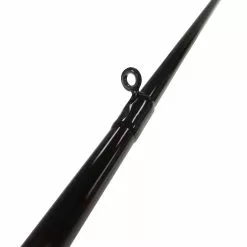 Promotion - Daiwa Fuego Casting Rod