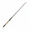 Promotion - Fenwick Eagle 2 Casting Rod