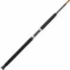Promotion - Shakespeare Ugly Stik Tiger Casting Rod