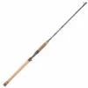 Promotion - Fenwick HMX Salmon & Steelhead Casting Rod