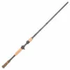 Promotion - Fenwick HMX Casting Rod