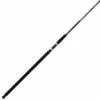 Promotion - Daiwa Sealine Surf Rod