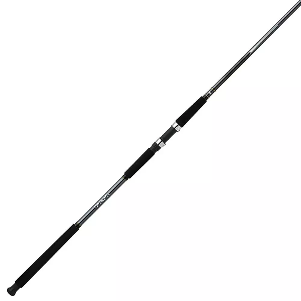 Promotion - Daiwa Sealine Surf Rod 3 Promotion - Daiwa Sealine Surf Rod - Image 3