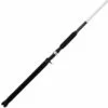 Promotion - Shakespeare Ugly Stik Catfish Casting Rod