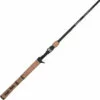 Promotion - Shakespeare Ugly Stik Elite Casting Rod