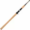 Promotion - Daiwa Acculite Salmon & Steelhead Casting Rod