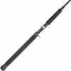 Promotion - Daiwa Great Lakes Trolling Rod