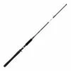 Promotion - Daiwa RG Walleye Trolling Rod