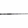 Promotion - Denali Trane Trolling Rod