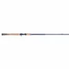 Promotion - Fenwick Eagle 2 Telescopic Trolling Rod
