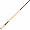 Promotion - Echo Full Spey Rod