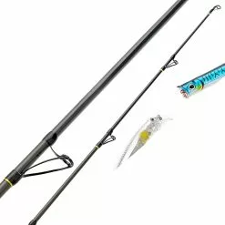 Promotion - Cashion Surf Rod 6 Promotion - Cashion Surf Rod -Deals Fishusa Store unnamed file 2219