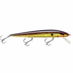 Promotion - Smithwick Perfect 10 Rogue -Deals Fishusa Store unnamed file 2329