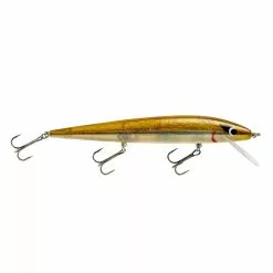 Promotion - Smithwick Perfect 10 Rogue -Deals Fishusa Store unnamed file 2330