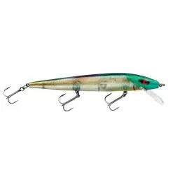 Promotion - Smithwick Perfect 10 Rogue -Deals Fishusa Store unnamed file 2334