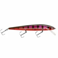 Promotion - Smithwick Perfect 10 Rogue -Deals Fishusa Store unnamed file 2336