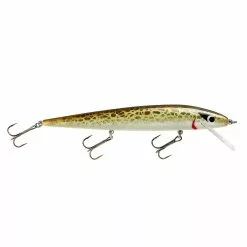 Promotion - Smithwick Perfect 10 Rogue -Deals Fishusa Store unnamed file 2337