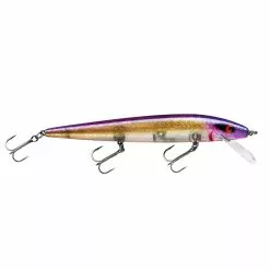 Promotion - Smithwick Perfect 10 Rogue -Deals Fishusa Store unnamed file 2342