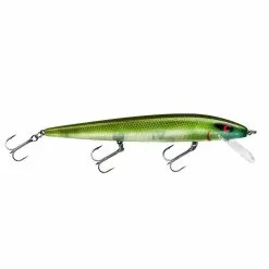 Promotion - Smithwick Perfect 10 Rogue -Deals Fishusa Store unnamed file 2343