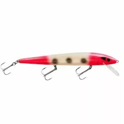 Promotion - Smithwick Perfect 10 Rogue -Deals Fishusa Store unnamed file 2345