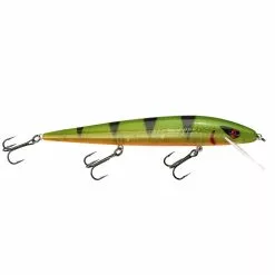 Promotion - Smithwick Perfect 10 Rogue -Deals Fishusa Store unnamed file 2346