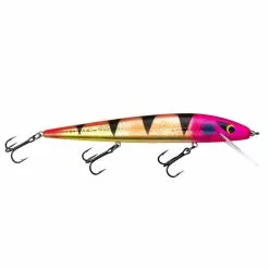 Promotion - Smithwick Perfect 10 Rogue -Deals Fishusa Store unnamed file 2349