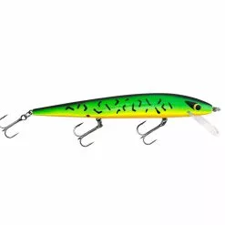 Promotion - Smithwick Perfect 10 Rogue -Deals Fishusa Store unnamed file 2351