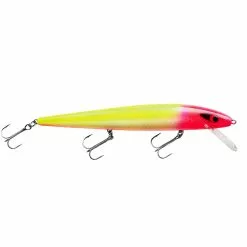Promotion - Smithwick Perfect 10 Rogue -Deals Fishusa Store unnamed file 2353