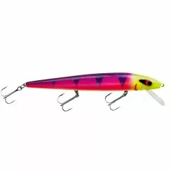 Promotion - Smithwick Perfect 10 Rogue -Deals Fishusa Store unnamed file 2354