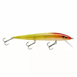 Promotion - Smithwick Perfect 10 Rogue -Deals Fishusa Store unnamed file 2355