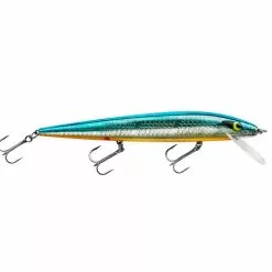 Promotion - Smithwick Perfect 10 Rogue -Deals Fishusa Store unnamed file 2358