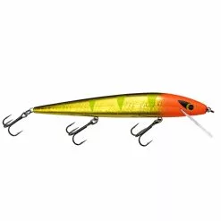 Promotion - Smithwick Perfect 10 Rogue -Deals Fishusa Store unnamed file 2359