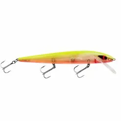 Promotion - Smithwick Perfect 10 Rogue -Deals Fishusa Store unnamed file 2360
