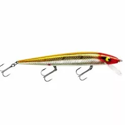 Promotion - Smithwick Perfect 10 Rogue -Deals Fishusa Store unnamed file 2361