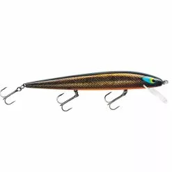 Promotion - Smithwick Perfect 10 Rogue -Deals Fishusa Store unnamed file 2362