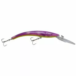 Promotion - Reef Runner 800 Series Deep Diver -Deals Fishusa Store unnamed file 2424