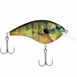 Promotion - Berkley Frittside Crankbait -Deals Fishusa Store unnamed file 2491