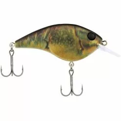 Promotion - Berkley Frittside Crankbait -Deals Fishusa Store unnamed file 2493