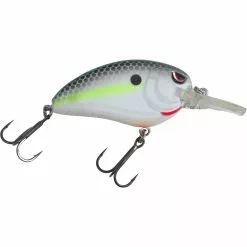 Promotion - SPRO Rattling Little John MD Type R 50 Crankbait -Deals Fishusa Store unnamed file 2510