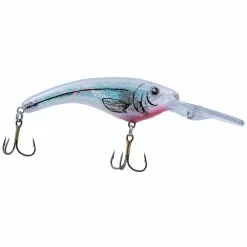 Promotion - Reef Runner Ripshad 44 Mag Crankbait 34 Promotion - Reef Runner Ripshad 44 Mag Crankbait -Deals Fishusa Store unnamed file 2541