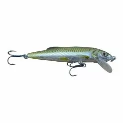 Promotion - Live Target Minnow Finesse Jerkbait 10 Promotion - Live Target Minnow Finesse Jerkbait -Deals Fishusa Store unnamed file 2610