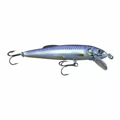 Promotion - Live Target Minnow Finesse Jerkbait 11 Promotion - Live Target Minnow Finesse Jerkbait -Deals Fishusa Store unnamed file 2611