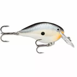 Promotion - Rapala DT Dives-To Crankbait -Deals Fishusa Store unnamed file 2755