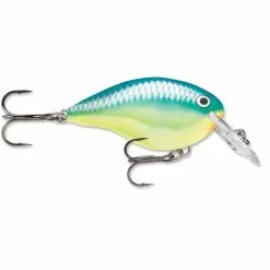 Promotion - Rapala DT Dives-To Crankbait -Deals Fishusa Store unnamed file 2756