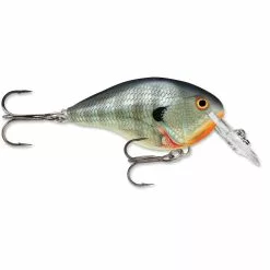 Promotion - Rapala DT Dives-To Crankbait -Deals Fishusa Store unnamed file 2758