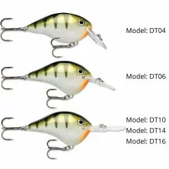 Promotion - Rapala DT Dives-To Crankbait -Deals Fishusa Store unnamed file 2760