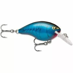 Promotion - Rapala DT Dives-To Crankbait -Deals Fishusa Store unnamed file 2761