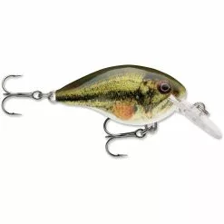 Promotion - Rapala DT Dives-To Crankbait -Deals Fishusa Store unnamed file 2763